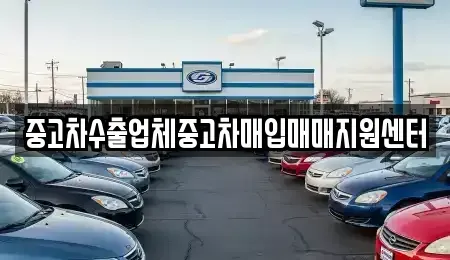 제주 서귀포시 상효동 중고차 전문 중고차수출업체중고차매입매매지원센터