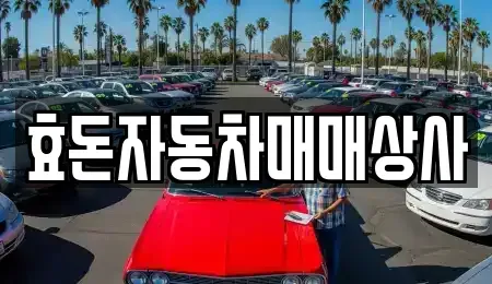제주 서귀포시 상효동 중고차 전문 효돈자동차매매상사