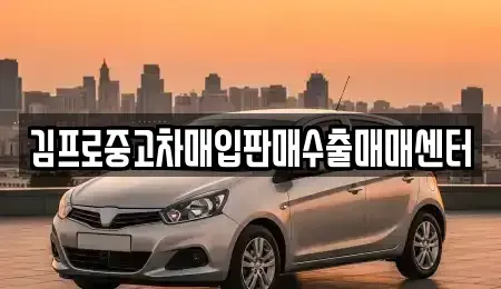제주 서귀포시 상효동 중고차매입 전문 김프로중고차매입판매수출매매센터