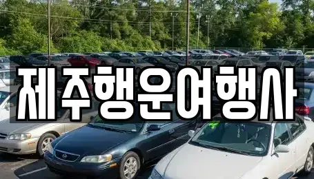 제주 제주시 삼도이동 렌트카 전문 제주행운여행사