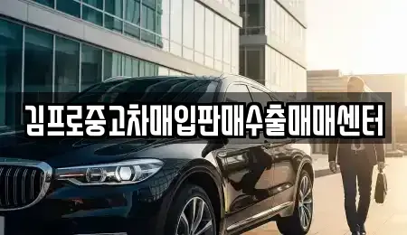 제주 제주시 삼도이동 중고차매매 전문 김프로중고차매입판매수출매매센터