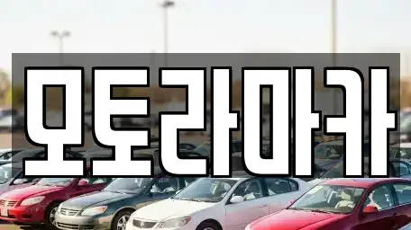 제주 제주시 일도일동 중고차 전문 모토라마카