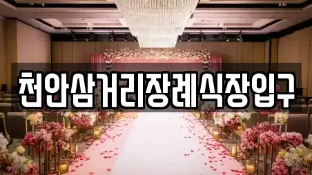 천안삼거리장례식장입구