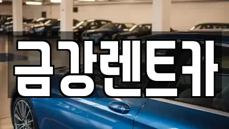 충남 서산시 갈산동 렌트카 전문 금강렌트카