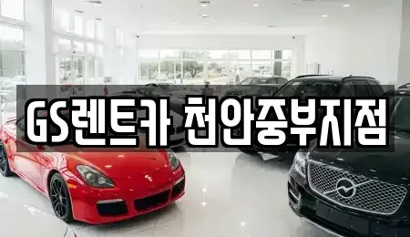 충남 천안시 서북구 신당동 렌트카 전문 GS렌트카 천안중부지점