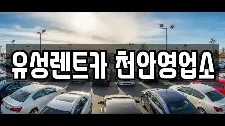 충남 천안시 서북구 신당동 렌트카 전문 유성렌트카 천안영업소