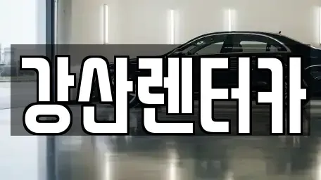 충남 천안시 서북구 신당동 장기렌트카 전문 강산렌터카