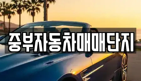 충남 천안시 서북구 신당동 중고차 전문 중부자동차매매단지