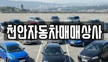 충남 천안시 서북구 신당동 중고차 전문 천안자동차매매상사