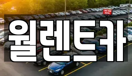 충청남도 천안시 서북구 직산읍 렌트카 전문 월렌트카