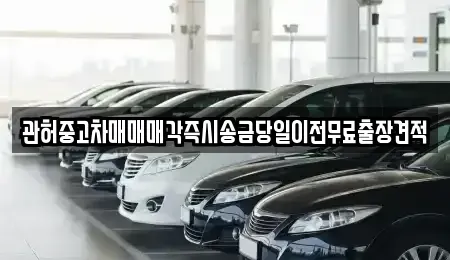 충청남도 천안시 서북구 직산읍 중고차 전문 관허중고차매매매각즉시송금당일이전무료출장견적