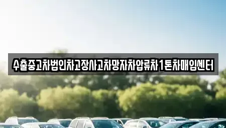 충청북도 청주시 서원구 산남동 중고차 전문 수출중고차법인차고장사고차망자차압류차1톤차매입센터