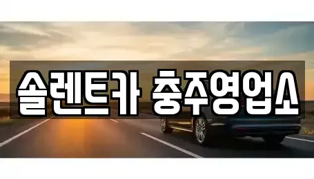 충청북도 충주시 목행동 렌트카 전문 솔렌트카 충주영업소