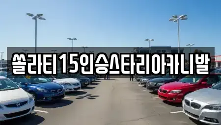 충청북도 충주시 목행동 렌트카 전문 쏠라티15인승스타리아카니발