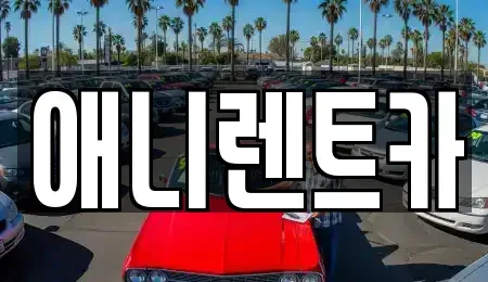 충청북도 충주시 목행동 렌트카 전문 애니렌트카