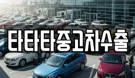 충청북도 충주시 목행동 중고차 전문 타타타중고차수출